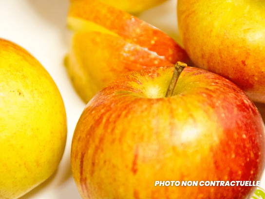 Pomme Cox's Orange Normandie