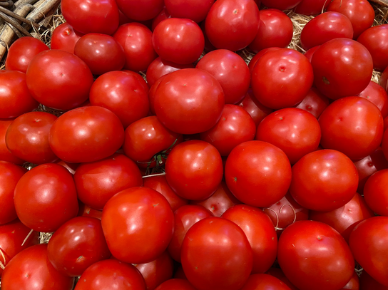 Tomates ronde à cuisiner
