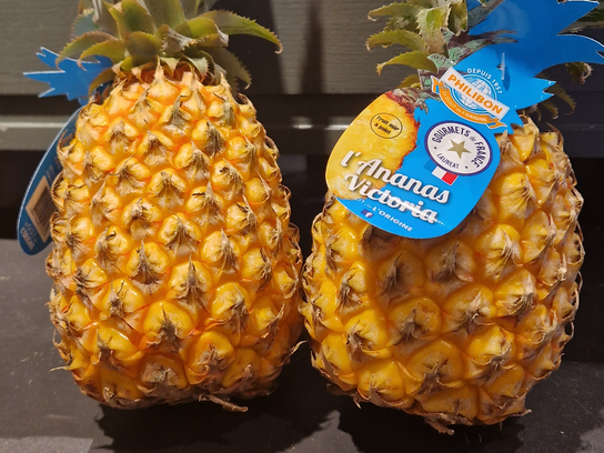 Ananas victoria