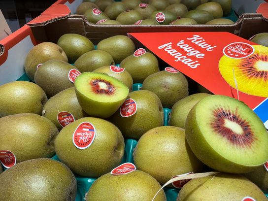 Kiwi rouge