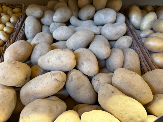 Pommes de Terre "Allians"