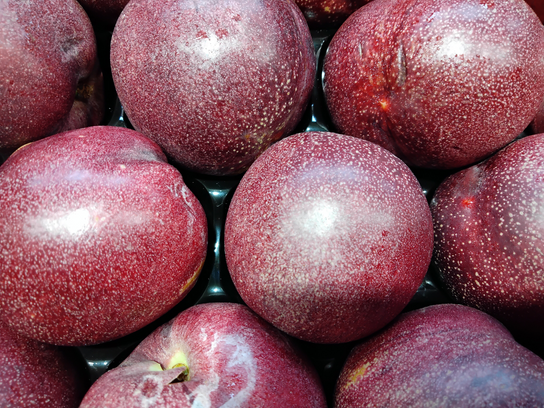 Nectarine de vigne