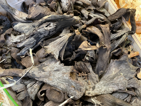 Trompettes de la mort