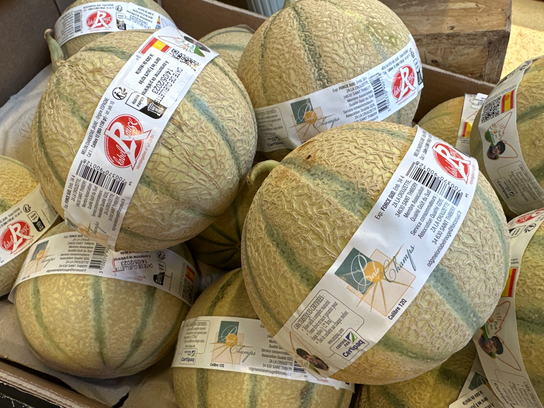 Melon Charentais jaune - Label rouge (grand calibre)