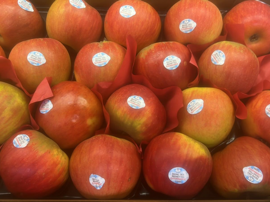 Pommes Reine des Reinettes
