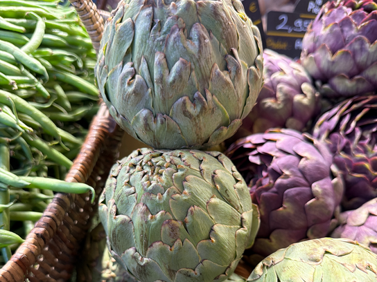 Artichaut du Roussillon