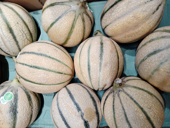 Melon charentais Guadeloupe