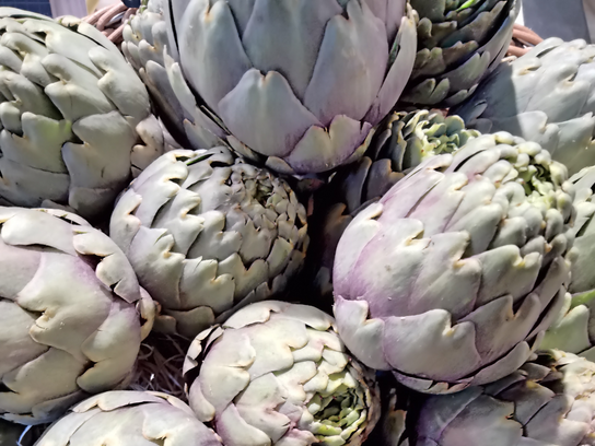 Artichaut violet petit calibre