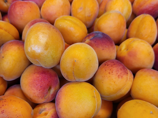 Abricots Orange Red