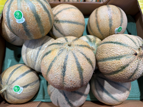 Melon BENAC - Charentais jaune (Gros calibre)