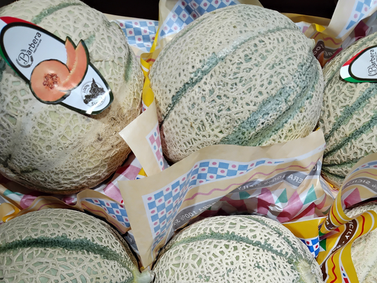 Melon Cantaloup