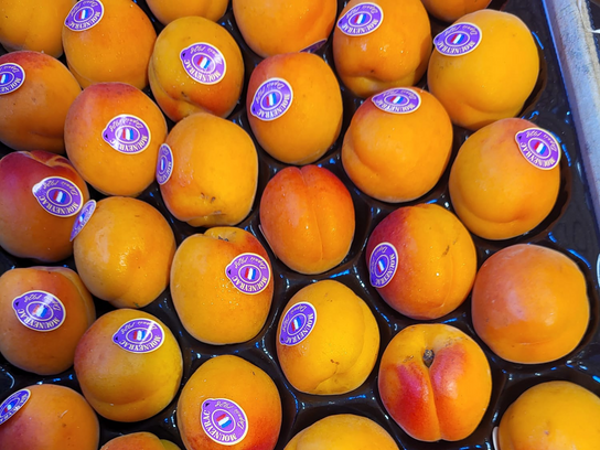 Abricots Orange Red BIO