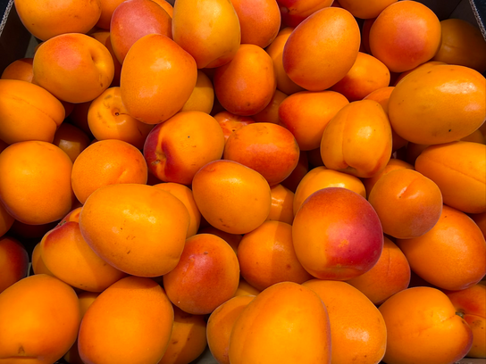 Abricot ORANGE RED