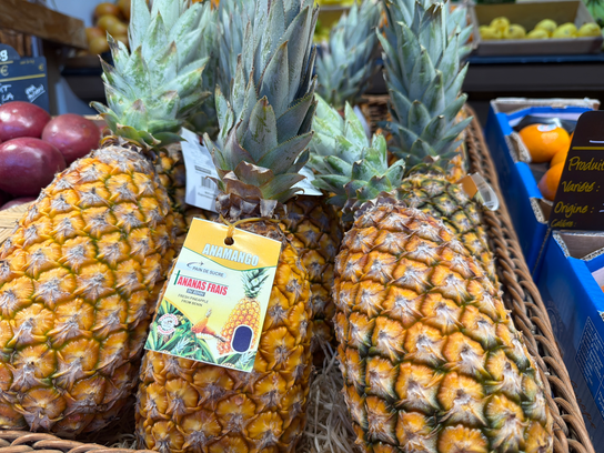 Ananas Pain de Sucre