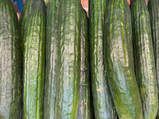Concombre long