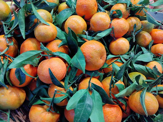 Clémentine a feuille
