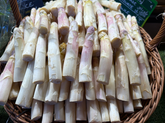 Asperges courtes BIO