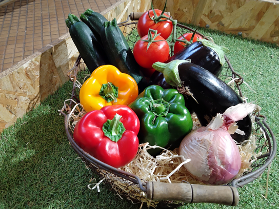 Les incontournables de la ratatouille