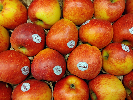 Pomme Envy