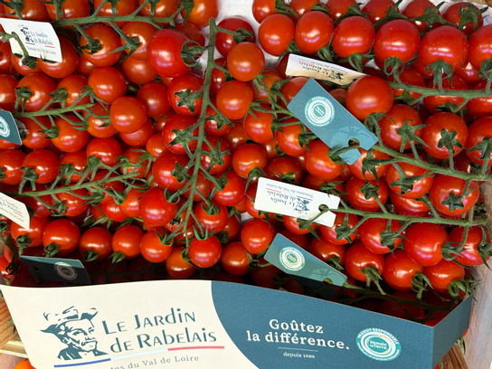 Tomates Cerises Grappe Sweet Baby