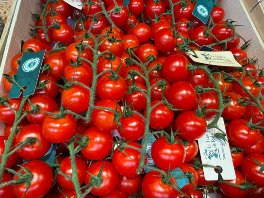Tomates Cerises Grappe Sweet Baby