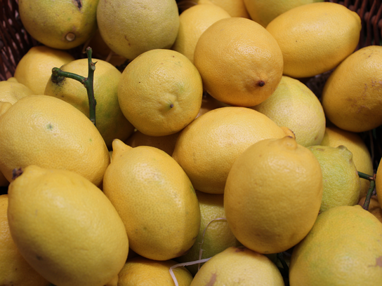 Citron jaune de Nice à Feuille