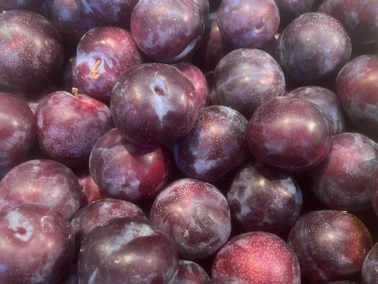 Prune Rouge Obi Crunch
