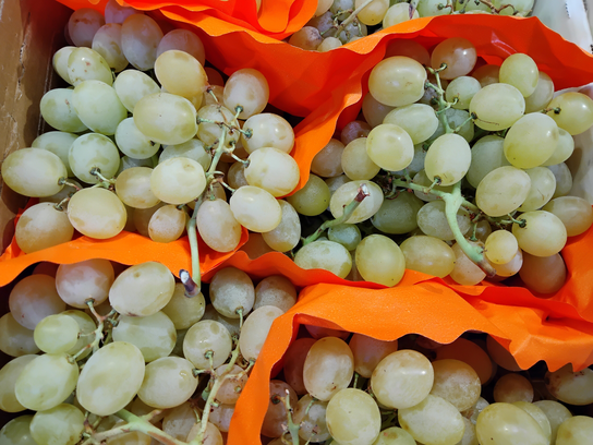 Raisin blanc Louisa SANS PEPIN