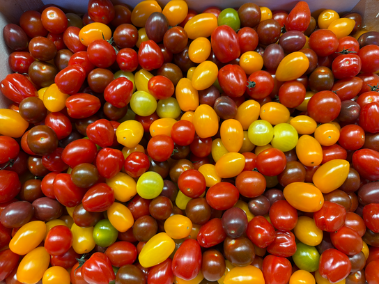 Tomates Cerises Meli Melo