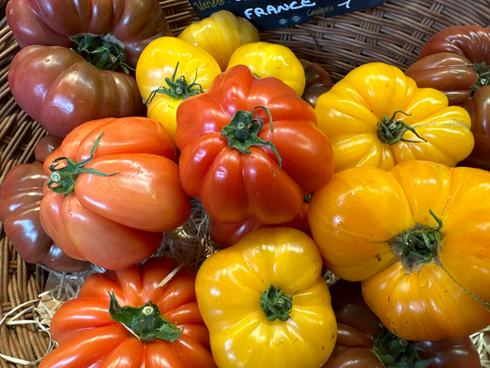 Tomates Ancienne - LOCAL