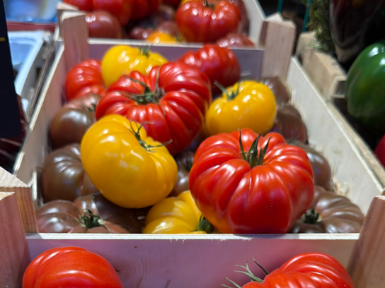 Tomates Ancienne