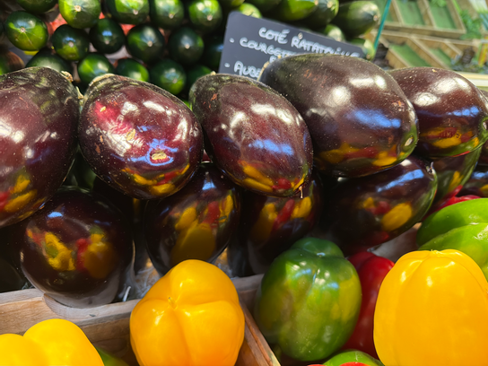 Aubergine