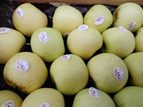 Pomme prim gold