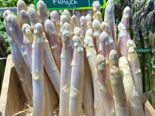 Asperges blanches BIO CALIBRE +22