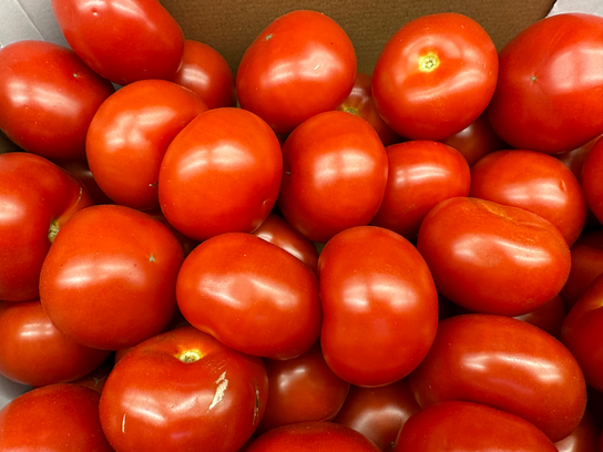 Tomates ronde