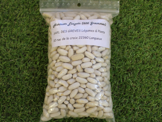 Haricots lingots 500g - LANGUEUX (22)