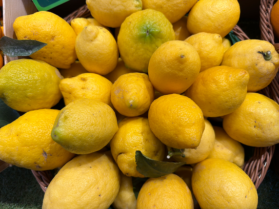 Citron Jaune à feuille de NICE