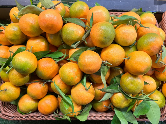 Clémentine feuilles