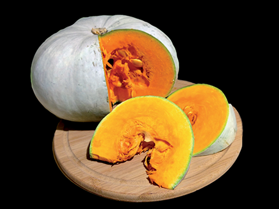 Courge Bleue de Hongrie bio