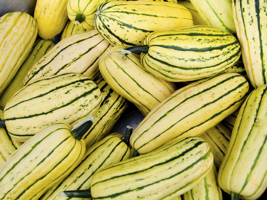 Courge Patidou Delicata bio