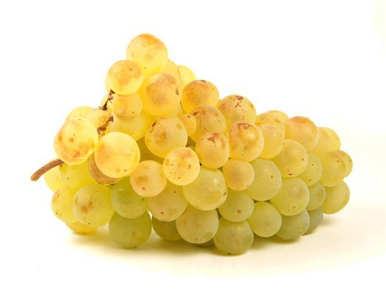 Raisin blanc Danlas bio