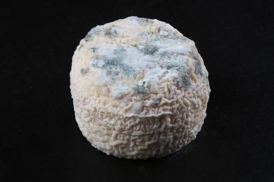 Crottin de Chavignol AOP