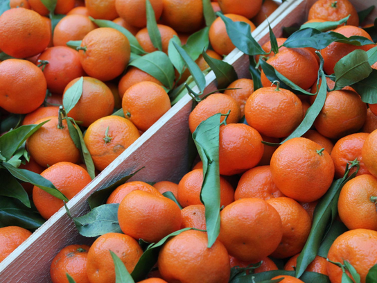 Mandarine ORRI