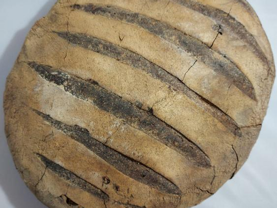 Pain bio au levain T80