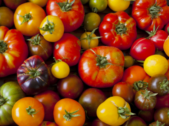 TOMATE COTELEE MIX