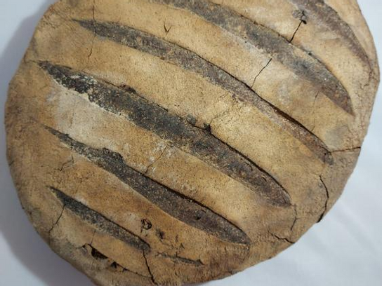 Pain bio au levain et cuit au feu de bois