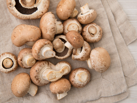 Champignon brun pied coupé