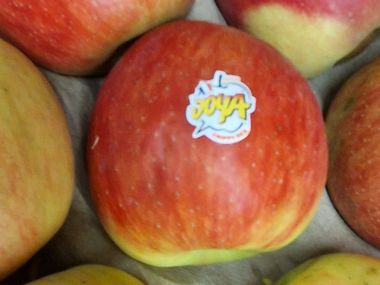 Pommes Joya