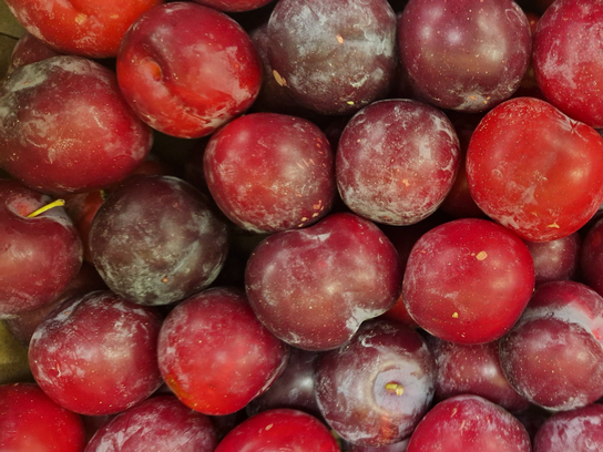 Prune rouge Grenadine