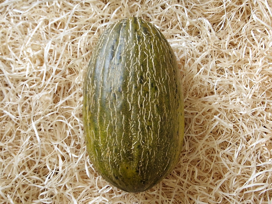 Melon d'eau vert